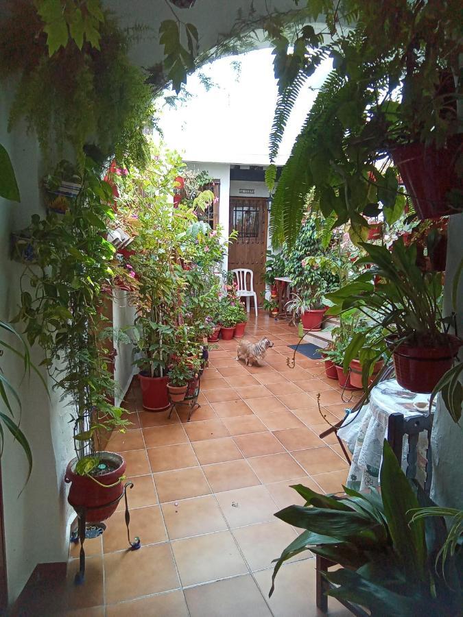 Arco De La Cobijada Apartman Vejer de la Frontera Kültér fotó